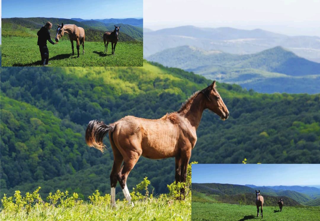 джиппинг Геленджик